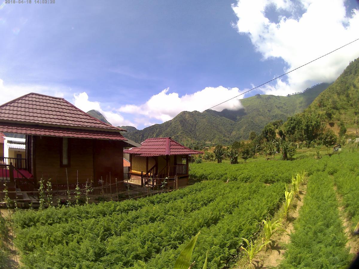 Bale Sembahulun Cottages & Tend Sembalunlawang Exterior foto